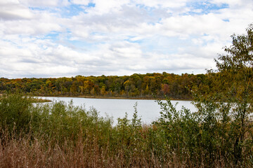 Wall Mural - lake in the forest