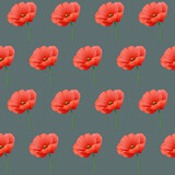 Fototapeta Kwiaty - Maki - czerwone dzikie kwiaty polne. Powtarzający się wzór na okładkę, tapetę, papier pakowy, tekstylia, tło, opakowanie, plakat.