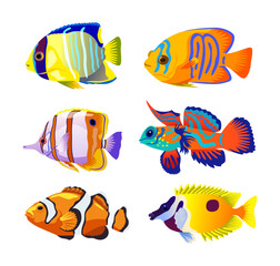 Wall Mural - Colorful coral fish on white background cartoon illustration set. Group of beautiful tropical reef marine animals or aquarium fish of different color. Underwater life, ocean water, sea concept