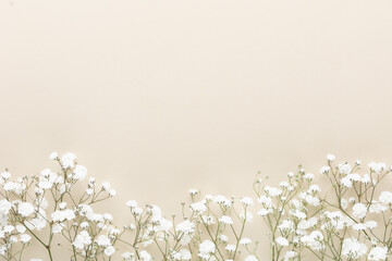 Beautiful flower background of pink gypsophila flowers. Flat lay, top view. Floral pattern.