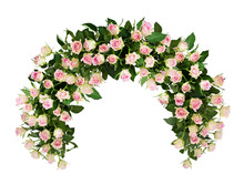 Beautiful White Rose Flowers In A Big Arch Arrangement Isolated