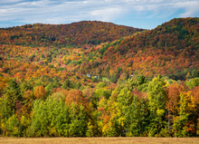 Layers Of Trees In Many Autumn Colors Line A Hillside Near Pomfret In Vermont