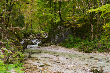 Wall Mural - River in the enchanted forest