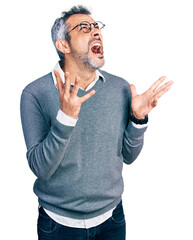 Wall Mural - Middle age hispanic with grey hair wearing glasses celebrating mad and crazy for success with arms raised and closed eyes screaming excited. winner concept