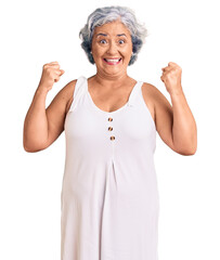 Poster - Senior woman with gray hair wearing casual clothes celebrating surprised and amazed for success with arms raised and open eyes. winner concept.