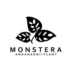 Wall Mural - monstera plant logo illustration vector
