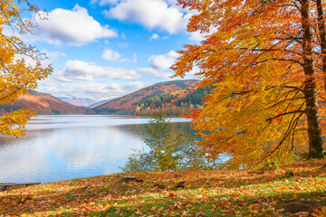 Wall Mural - tereblia river reservoir in carpathian mountains. wonderful autumn landscape on a warm sunny afterno