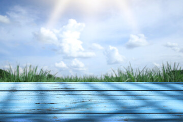 beautiful wooden floor and sky and meadow background