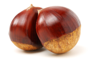 Wall Mural - chestnut on a white background