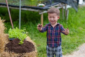 Portrait of Happy little boy organic vegetable farm is picking vegetables from a plot in a organic house.Education and healthy food concept.