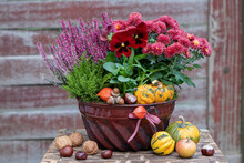 Rotes Stiefmütterchen, Chrysantheme, Heidekraut Und Kürbisse In Alter Guglhupf-Backform