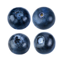 Blueberry Collection Isolated On Transparent Png