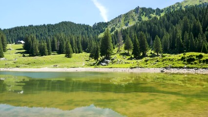 Wall Mural - lake and green forest and hill