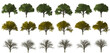 collection of trees in different seasons on a transparent background