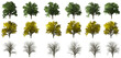 collection of trees in different seasons on a transparent background