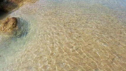 A flock of small fish swimming on the coast of the Mediterranean Sea.