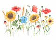 Beautiful floral composition with watercolor hand drawn field wild flowers. Stock clip art illustration.