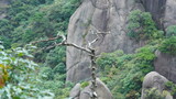 Fototapeta  - The beautiful mountains landscapes with the green forest and the erupted rock cliff as background in the countryside of the China