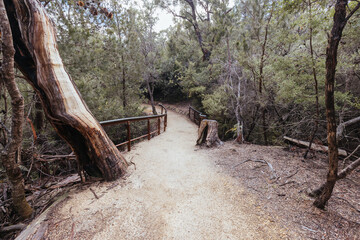 Poster - Freycinet Peninsula Circuit in Tasmania Australia