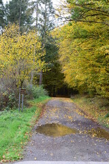 Poster - FEldweg im Herbst