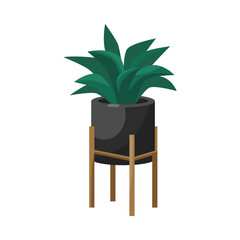 Wall Mural - Agave or aloe in flowerpot flat vector illustration. Indoor houseplant for home or office, flower with green leaves in planter isolated on white background. Nature, urban jungle concept