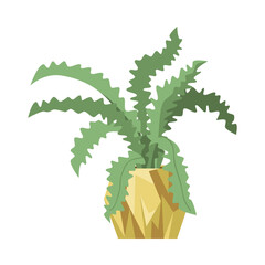 Wall Mural - Green fern plant in flowerpot flat vector illustration. Indoor houseplant for home or office, flower with big green leaves in pot isolated on white background. Nature, urban jungle concept