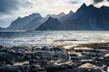 Wall Mural - Beautiful and colorful autumn in the Lofoten archipelago in Norway. Breathtaking landscapes show the power of nature.