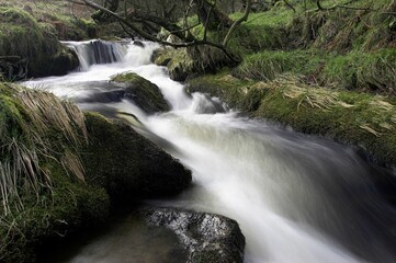beautiful waterfall flowing down from moss-covered rocks in the forest, wildlife of scotland