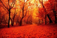 A Path In The Middle Of A Forest With Lots Of Leaves On The Ground, A Red Forest In Autumn Showing The Color Of Fall.