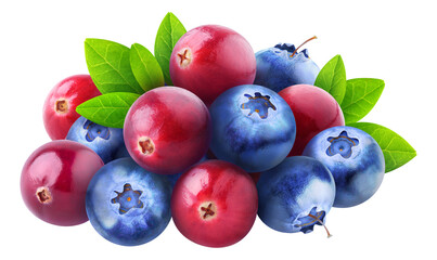 Wall Mural - Pile of fresh cranberry and blueberry fruits cut out