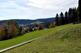 Fototapeta Na ścianę - Falkau im Schwarzwald im Herbst