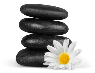 Canvas Print - Zen basalt stones and flower on background