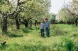 © Alek - two little cute brothers cheerful walk in the apple orchard on a sunny spring day. High quality photo