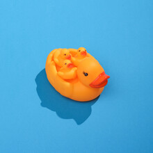 Creative Layout With Rubber Duck Mother And Ducklings. Bright Blue Background With Shadow. Visual Summer Trend. Minimalistic Aesthetic Still Life. Fresh Idea
