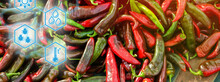 Harvest Of Red Hot Pepper Lies On A Pile. High Technologies And Innovations In Agro-industry. Study Quality Of Soil And Crop. Selective Focus