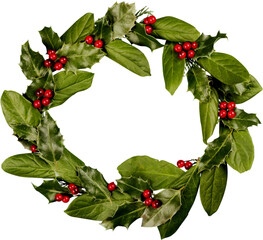 Poster - Cute holly leaves and berries, christmas decoration isolated on white background