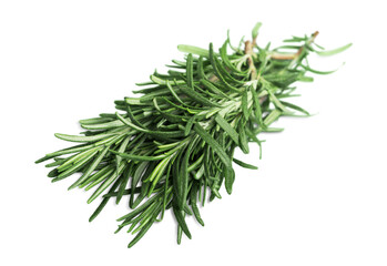 Wall Mural - Fresh green sprig of rosemary isolated on a white background