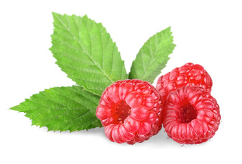 Wall Mural - Rasberry with leaf on white background