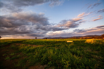 Poster - Sunset over the meadow