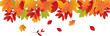 Autumn leaves on transparent background. Autumn frame in png. Decoration with leaf. Transparent mockup