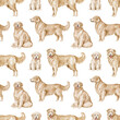 Golden retriever dogs seamless patterns