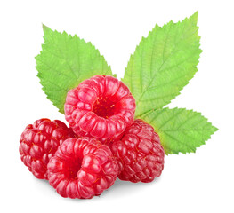 Canvas Print - Raspberries with leaves isolated on white background