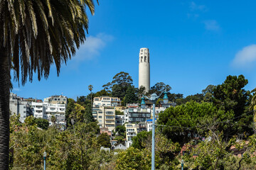 San Francisco cityscape - Telegraph Hill and Coit Tower.