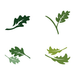 autumn oak leaf logo and oak tree logo. with easy and simple editing of vector illustration.