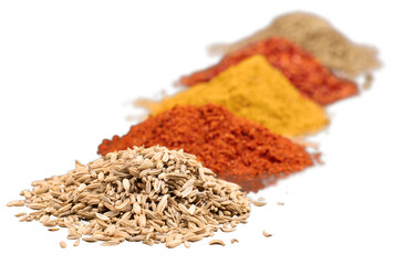 Wall Mural - Composition of various spices on white background