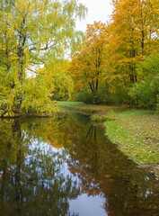  Autumn day in the park. Gold autumn. Trees and lake.