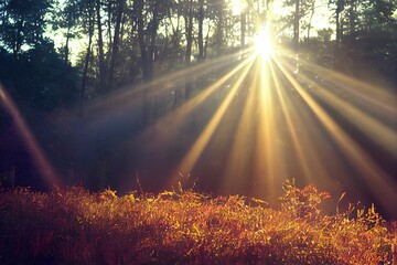 Wall Mural - Light effect. The effect of sunlight shining through the tree, glare effect.