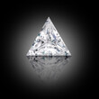 Trilliant Cut Diamond on Black Background with Reflection. Diamond Shape Photograph. 
