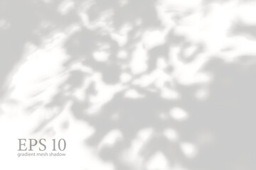 Transparent natural plant shadow. Light effect overlay. Mesh grid. Shadows from branches, plant, foliage and leaves on ground. Presentation your design card, poster Photo realistic vector