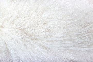 white animal fur. weasel or cat hair. fur clothes, white fur coat close up.